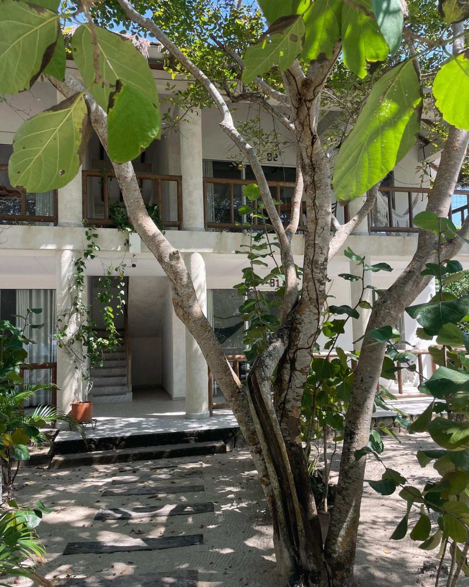 Sabai Beach Hotel Isla Barú エクステリア 写真